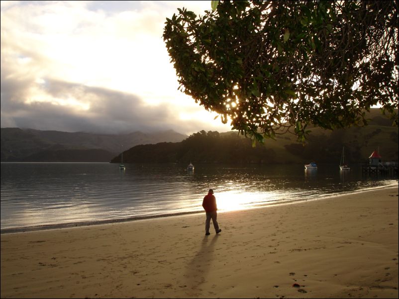 DSC01131_akaroa_harbour