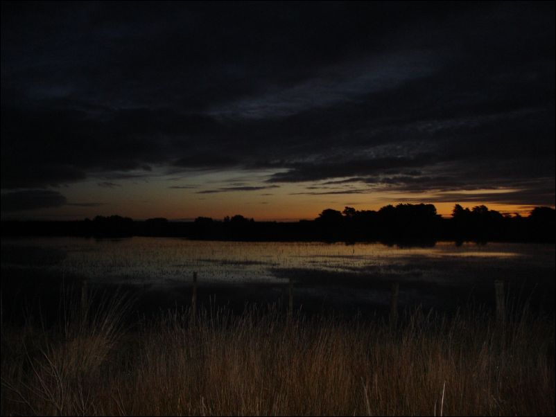 DSC01136_banks_peninsula
