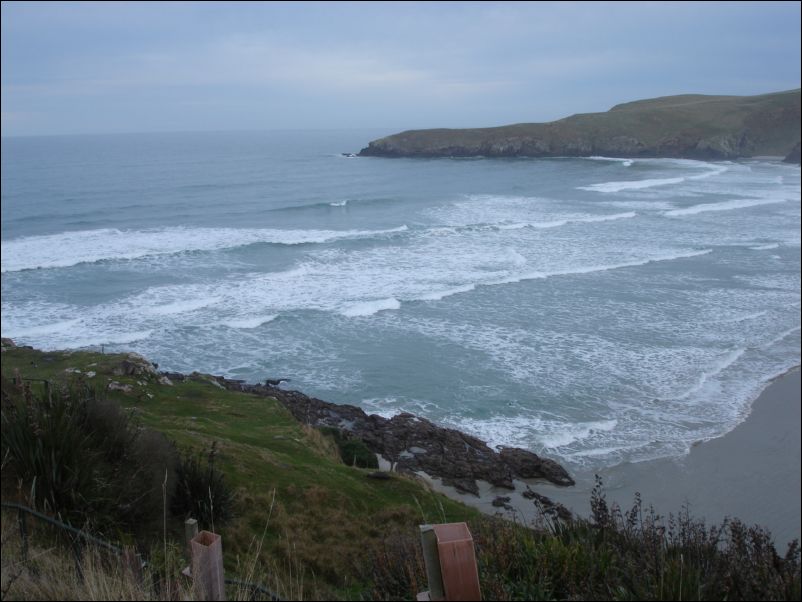 DSC01149_otago_peninsula_dunedin