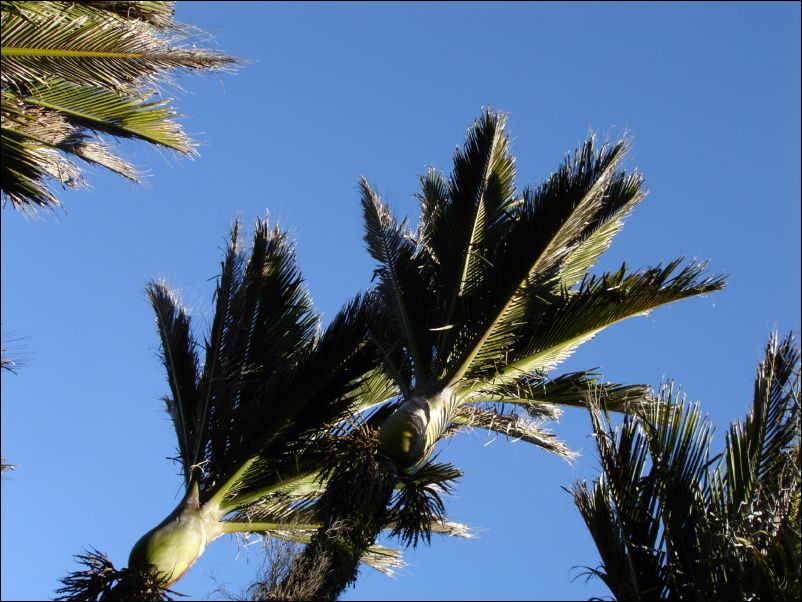 DSC01341_pancakerocks