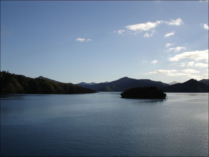 DSC01431_queen_charlotte_sounds