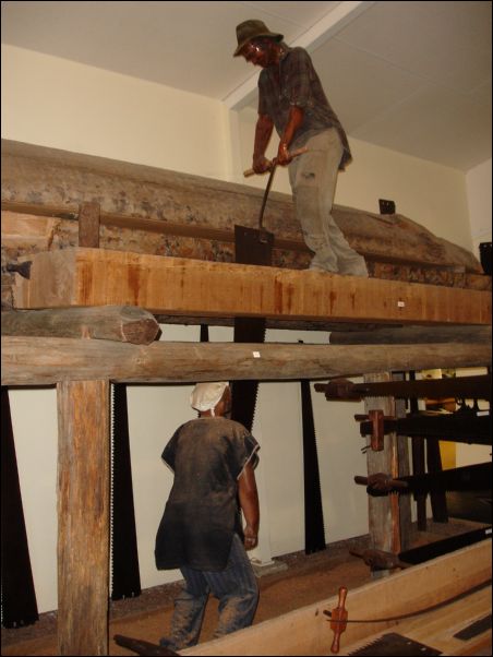 DSC01585_kauri_museum