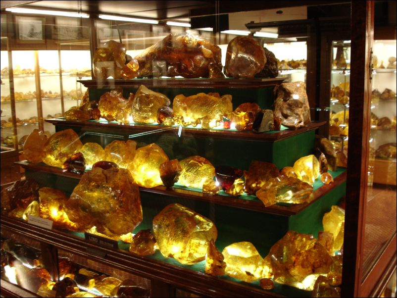 DSC01586_kauri_museum