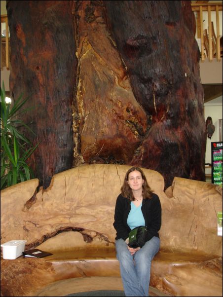 DSC01609_awanui_ancient_kauri_kingdom