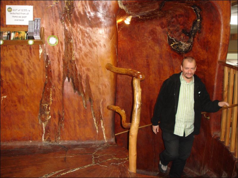 DSC01610_awanui_ancient_kauri_kingdom