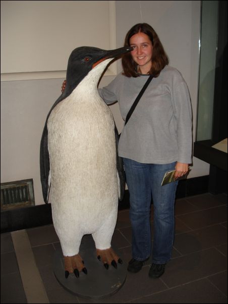 DSC01681_auckland_museum